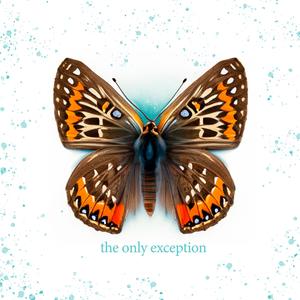 裤裆欢极品另类
